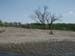28 Beach